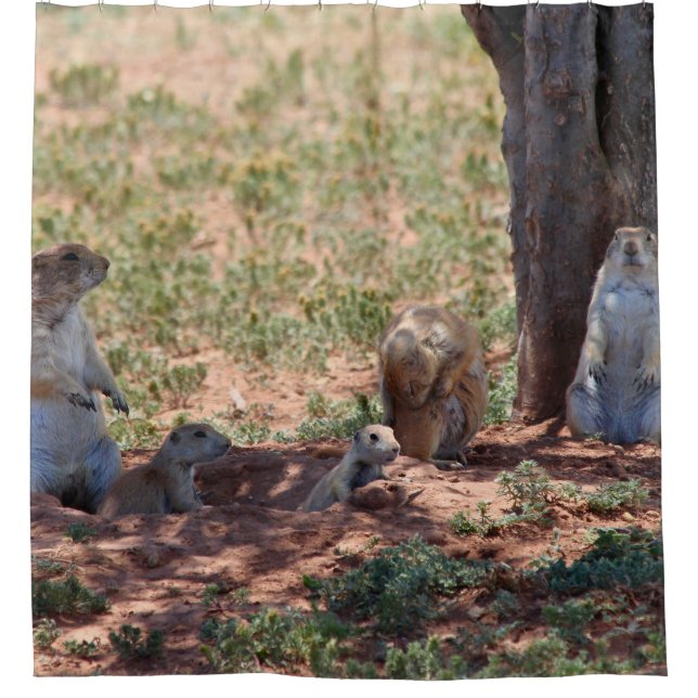 Cortina De Ducha Prairie Dog Family (Anverso)