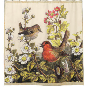 Cortina De Ducha Primavera Robin Birds Red Birds