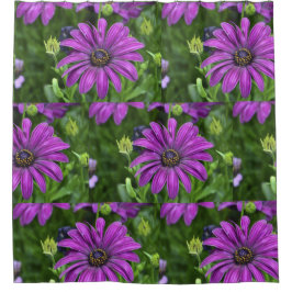 Cortina De Ducha Purple Daisy