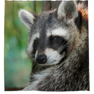 Cortina De Ducha Raccoon 001