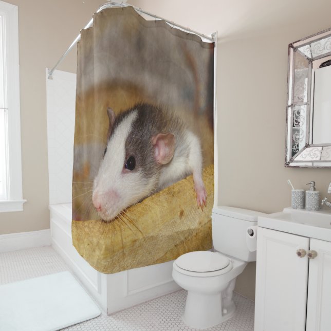 Cortina De Ducha Rata Cuta (In situ)