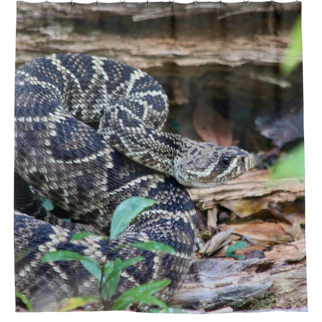 Cortina De Ducha Rattlesnake In The Wild (Anverso)