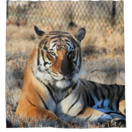 Cortina De Ducha Regal