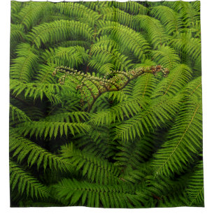 Cortina De Ducha Retrato de Fern Leaves