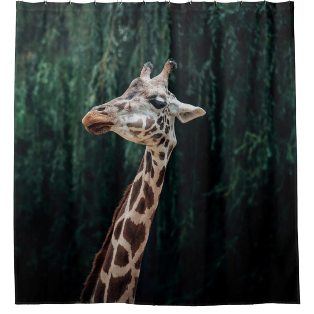 CORTINA DE DUCHA RETRATO DE GIRAFFE CUTE (Anverso)