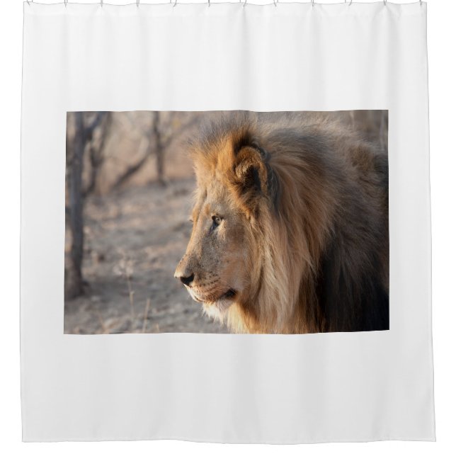 Cortina De Ducha Retrato de león (Anverso)