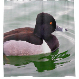 Cortina De Ducha Ring Necked Duck