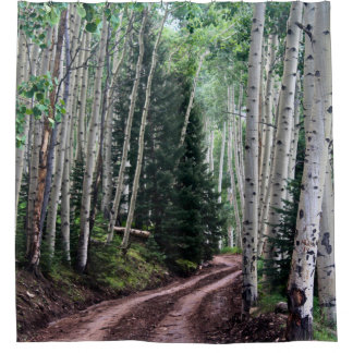 Cortina De Ducha Road Through The Birch