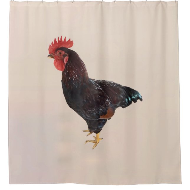 Cortina De Ducha Rooster de Rhode Island (Anverso)
