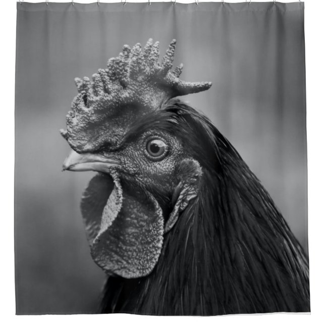 Cortina De Ducha Rooster negro y blanco (Anverso)