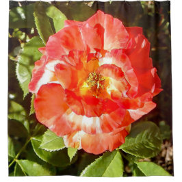 Cortina De Ducha Rosa del día soleado.........