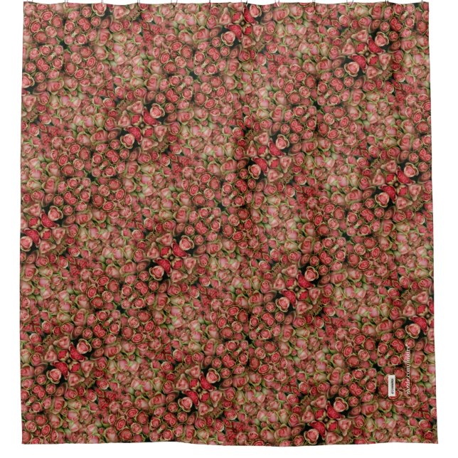 Cortina De Ducha Rosas (Anverso)