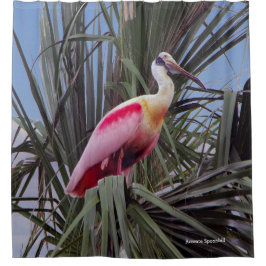 Cortina de ducha Roseate Spoonbill