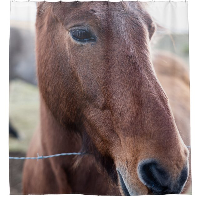 CORTINA DE DUCHA SAD HORSE (Anverso)