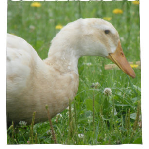 Cortina De Ducha Sajonia Duck