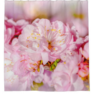 Cortina De Ducha Sakura Cherry FLower - Boda Bouquet