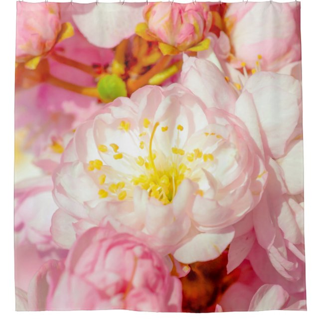 Cortina De Ducha Sakura Cherry FLower - Boda de la Naturaleza (Anverso)