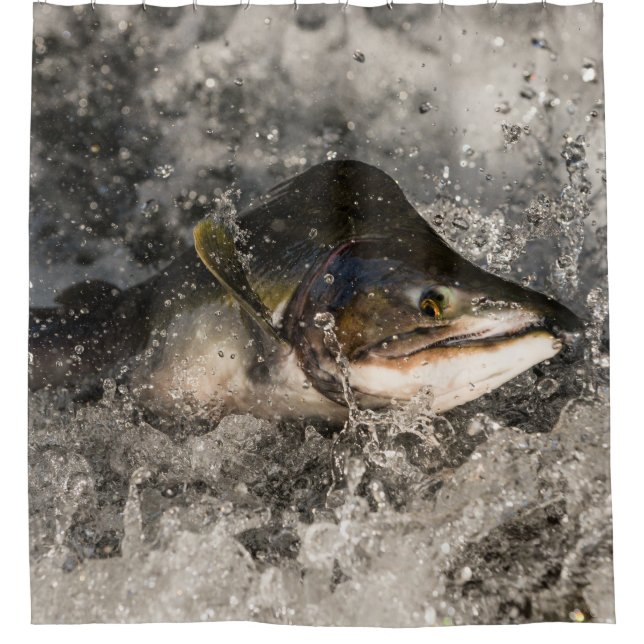 Cortina De Ducha Saltando Salmon (Anverso)