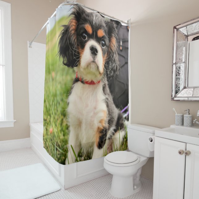 Cortina De Ducha Serio (In situ)