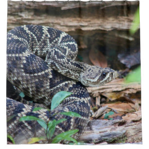 Cortina De Ducha Serpiente de cascabel en la naturaleza