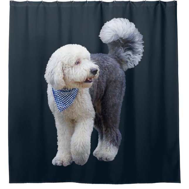 Cortina De Ducha Sheepadoodle con bufanda azul a cuadros (Anverso)