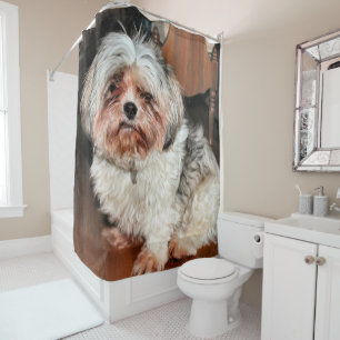 Cortina De Ducha Shih Tzu