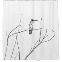 Simplemente un colibrí sobre un palo