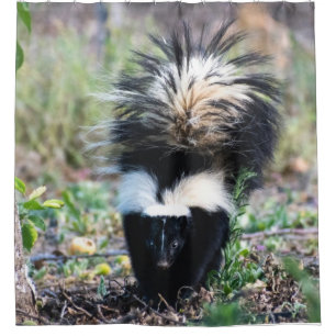 Cortina De Ducha Skunk Black and White