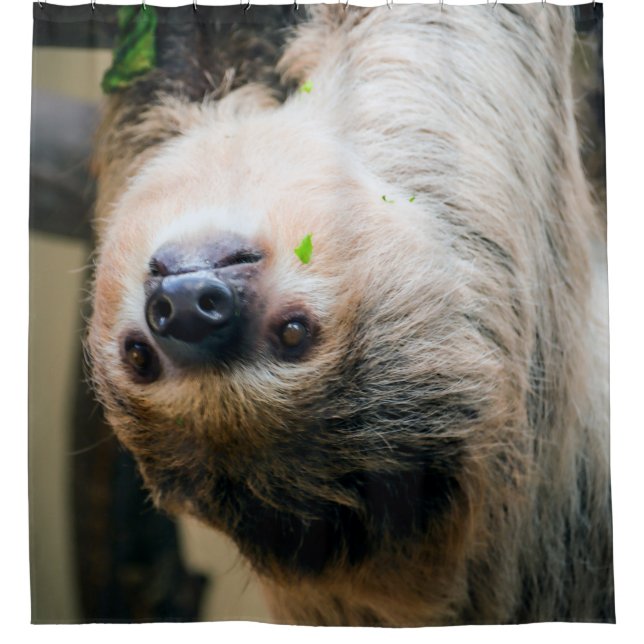 Cortina De Ducha Sloth 001 (Anverso)