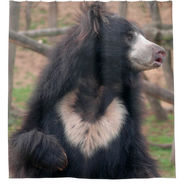 Cortina De Ducha Sloth Bear (Anverso)