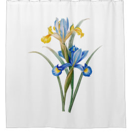 Cortina De Ducha Spanish iris by Pierre-Joseph Redouté