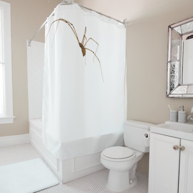 Cortina De Ducha Spider (In situ)