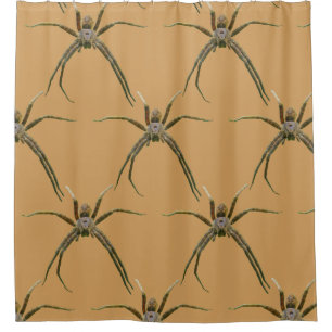 Cortina De Ducha Spider