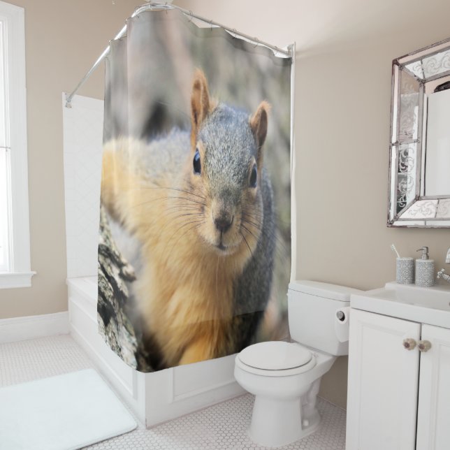 Cortina De Ducha Sr. Cutie (In situ)