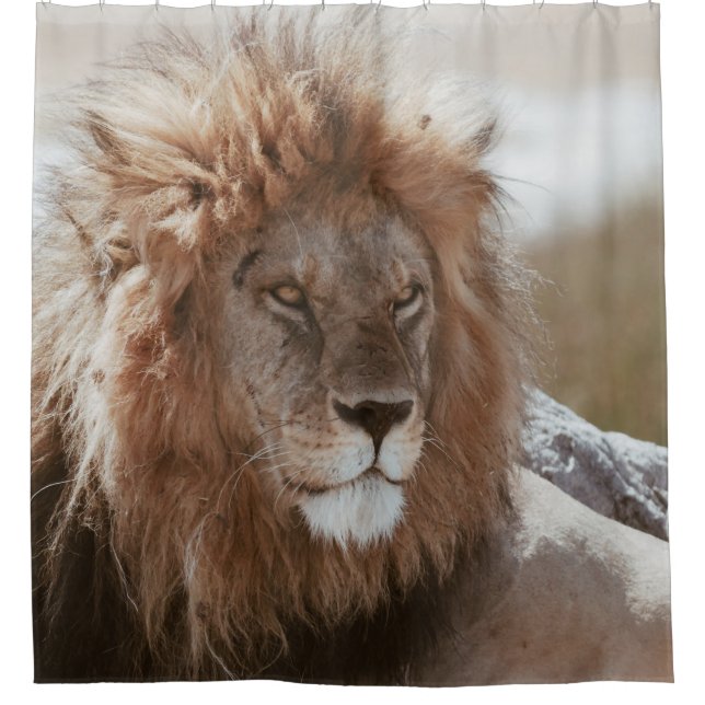 CORTINA DE DUCHA SR. LION (Anverso)