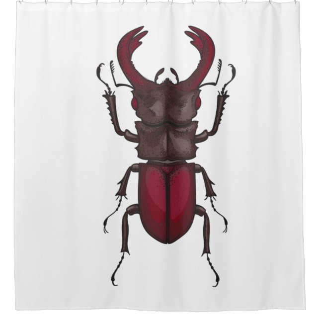 Cortina De Ducha Stag beetle (Anverso)