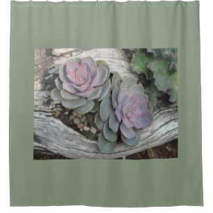Cortina De Ducha Succulent de Echeveria