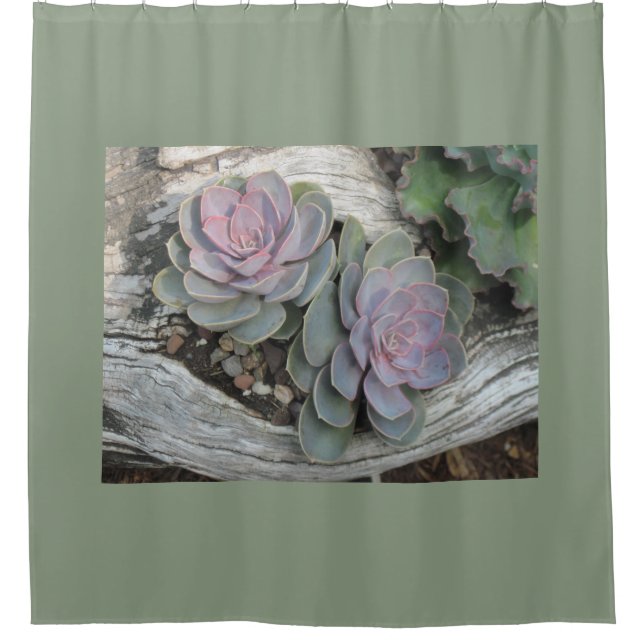 Cortina De Ducha Succulent de Echeveria (Anverso)