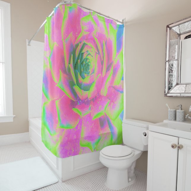 Cortina De Ducha Suculento rosette de sedum verde limón y rosa (In situ)