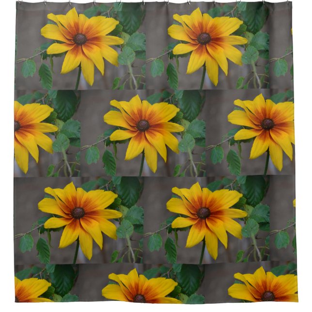 Cortina De Ducha Susan Black-Eyed (Anverso)