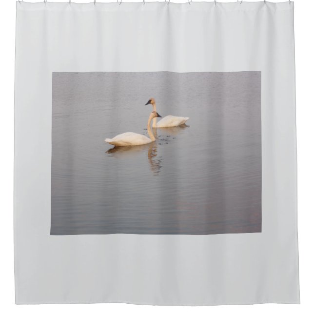 Cortina de ducha Swan Pair (Anverso)