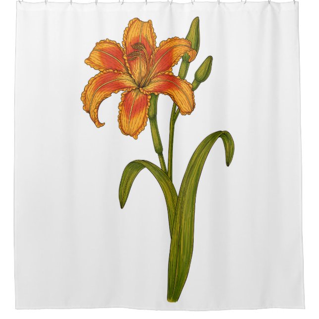 Cortina De Ducha Tawny daylily (Anverso)