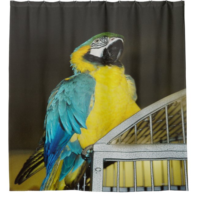 Cortina De Ducha Taz... (Anverso)