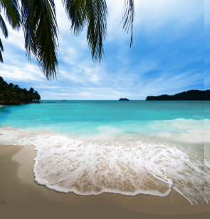 Get Wallpaper Cortinas De Ducha Playa Tropical Zazzle Es Free