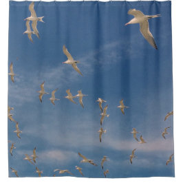 Cortina De Ducha Terns Overhead