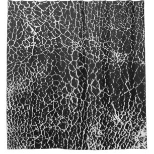 Cortina De Ducha Textura superficial angustiada de cocodrilo o serp