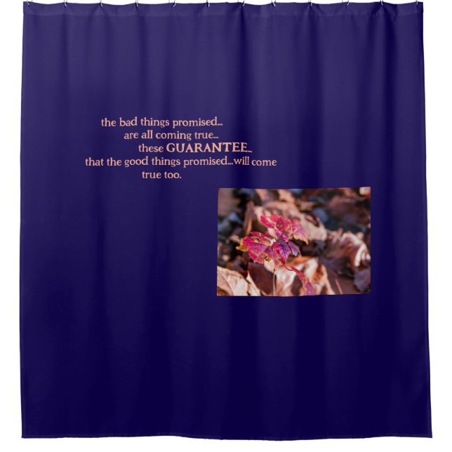 Cortina De Ducha The Guarantee-Shower Curtain (Anverso)