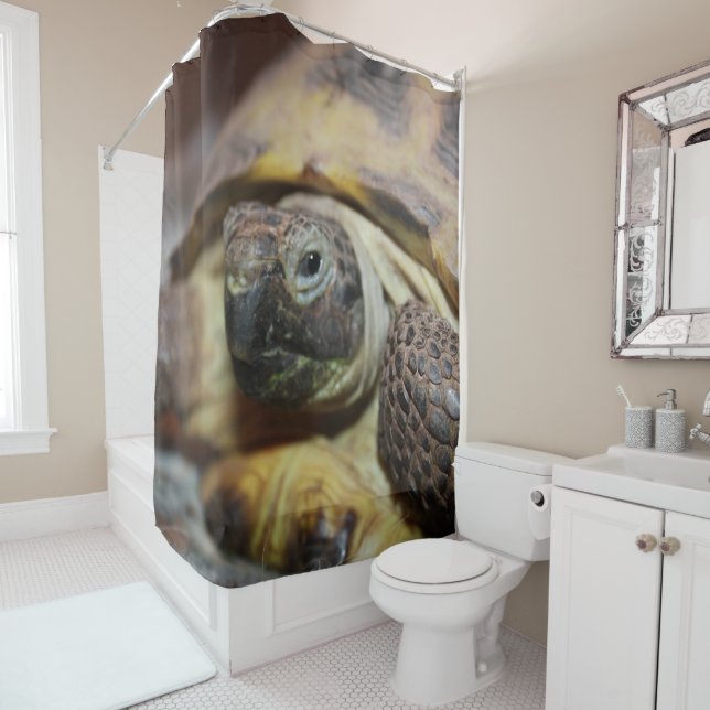 Cortina De Ducha Tibbs (In situ)