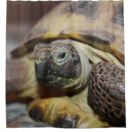 Cortina De Ducha Tibbs