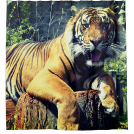 Cortina De Ducha Tigre